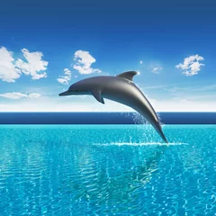 Papier Peint photo Lavable Dauphins Le dauphin saute au-dessus de l& 39 eau de piscine, aquarium de ciel d& 39 été