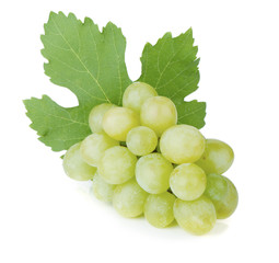 Fresh ripe grapes