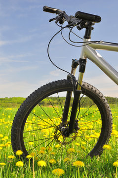 detail of mountain bikes on the flowery meadow