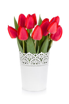 Red tulips in flowerpot