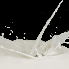 milk splash