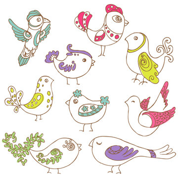 Set of different cute birds - for design and scrapbook in vector