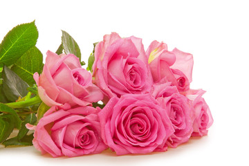 Pink rose bouguet on white