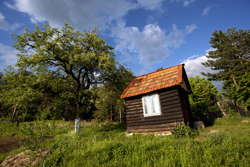 apple tree and red roof