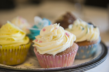 Cup cakes on plate