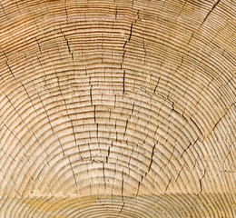 Fototapeta premium Holzbalken mit Jahresringen