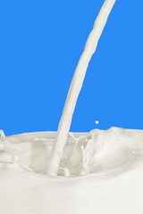 milk splash