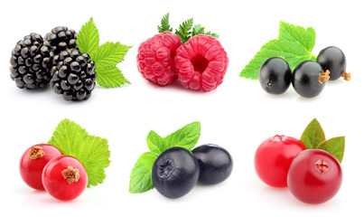 Ripe berries in closeup