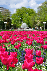 Kołobrzeg wiosną - park przy poczcie, fontanna