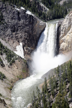 Yellowstone lower fall in yellowstone national park