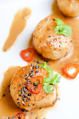 Scallop