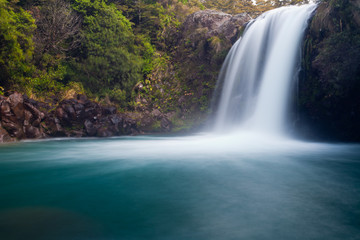 Tawhai Falls im Tongariro NP, Neuseeland