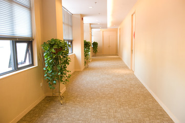 corridor