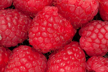 Heap of raspberry
