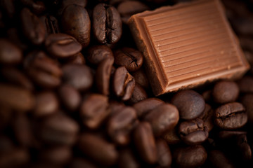 Piece of chocolate and coffee seeds together