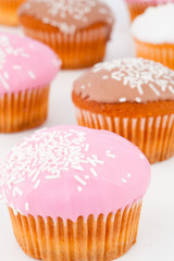 Close up of many muffins with icing sugar