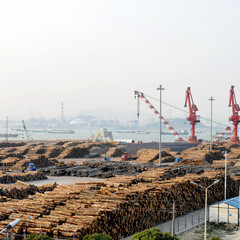 stacked logs