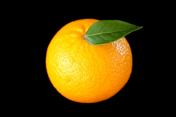 Orange fruit