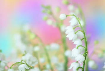 Photo sur Plexiglas Muguet lily-of-the-valley