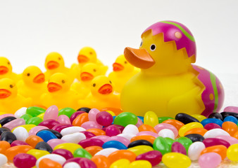 Easter Duck