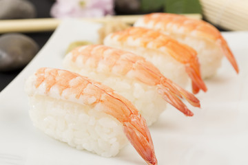Ebi Nigiri Sushi - Japanese prawn sushi on a white platter
