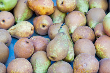 group of fresh pears