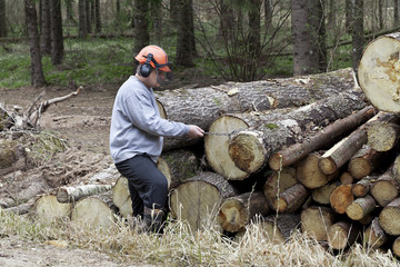 Obraz premium Lumberjack with a chain near a pile of logs