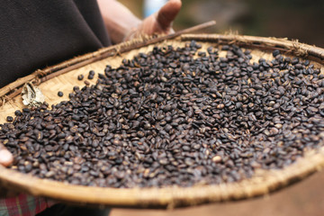 Close up of Coffee Beans