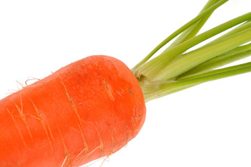 Une carotte