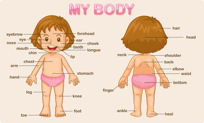 Obraz premium my body