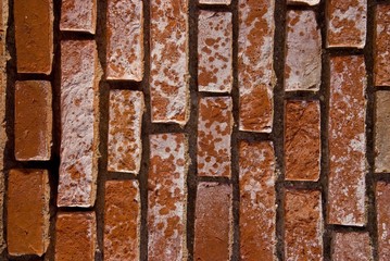Red brick wall fragment.
