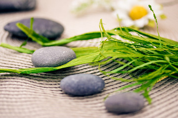 Obraz na płótnie Canvas spa massage stones and plants