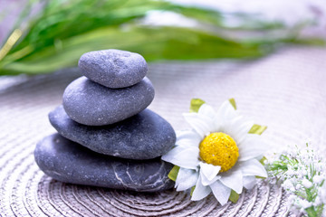 Fototapeta na wymiar spa stones and flowers representing wellness/beauty care