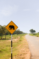 Yellow Elephant wanring sign on the road