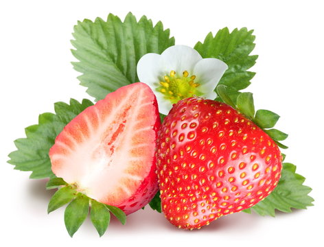 Strawberries with leaves and flower. Isolated on a white backgro