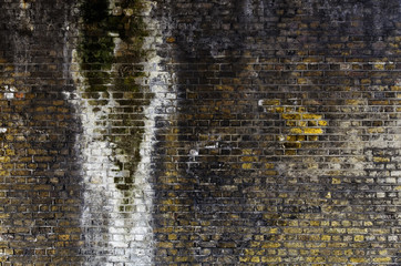 Naklejka premium Grunge brick wall