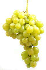 Grape