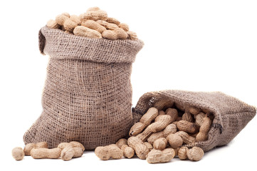 Peanut in a bag