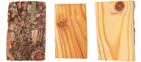 The bark and wood of larch