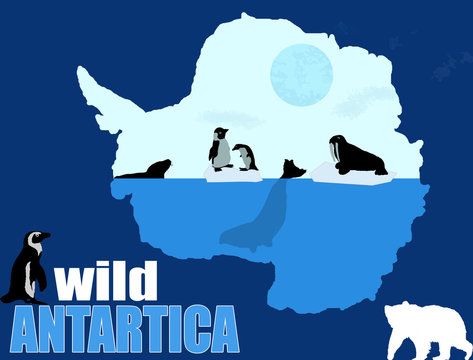 Wild Antartica