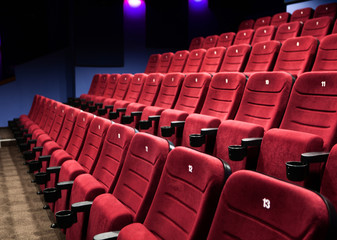 Rows of cinema seats - 41397009