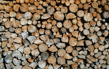 cut tree trunks forming a huge outdoor Woodshed