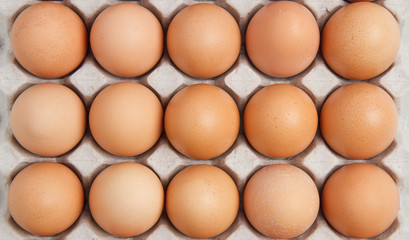 Brown eggs in the box