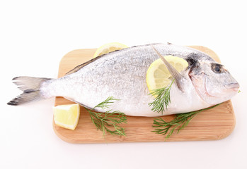 raw sea bream
