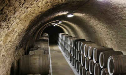 Wine cellar interior with wooden barrels