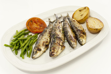 sardinas