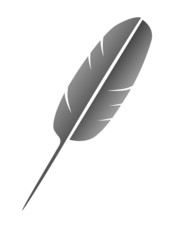 feather symbol