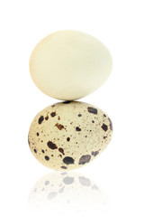 Quail eggs on white background. Damaged skin concept