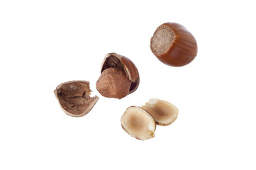 Hazelnut, various versions, isolated on white