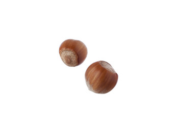 Couple of hazelnuts on white